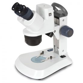 Stereomicroscopio digitale 10x-20x-40x